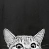 catswithbenefit