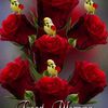 user38018875