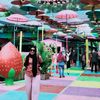 anilfa_mart8411