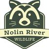 Nolin River Wildlife