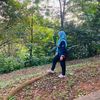 vee_1713