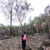 jiwapenelusur