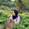 _syaa53
