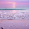 la_valenciana1
