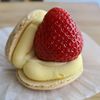 milkcoloredbeauty