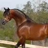 hhh12378