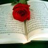 mohamedhoh13