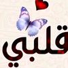 🌹✨آلّقمـــــرــوالضــــي✨🌹