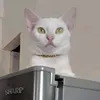markjuuun