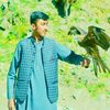 cheema.zabi.502