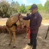 user07684300