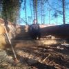 user12117850