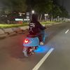 17kalajengking