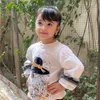 butterfly_z9