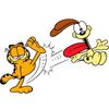patin_paton