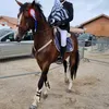 jpouille8