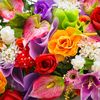 queenmira791