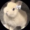 lynneevu