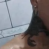r.sntts2