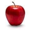 apple05212010