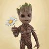 babygroot_11