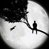 az_zoh81