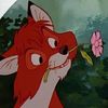 soundedjake0