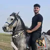 zryan_13