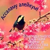 ibragimovamalika0