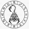 silverback_scorpio