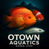 o_townaquatics