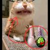 yttffhhtfv