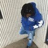 topvillain_200rds