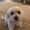 molly.moomoo65