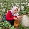 najmaaaputri_