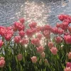 zyyhaybun317