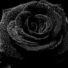 nour.ha23