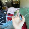 xozzyx420