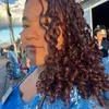 gabih__araujo