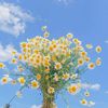 __flowerfull