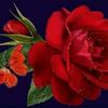 altb_albadel333