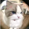anhduogg_