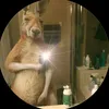 da_cypher