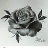 bdysnchr310