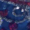 sanarienavoir8
