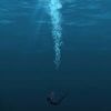 sea_6800