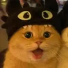 alaskayoungggg