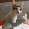 phuonghh_