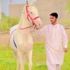 chumar517