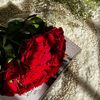 amorh7